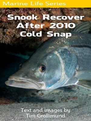 cover image of Snook Recover After 2010 Cold Snap